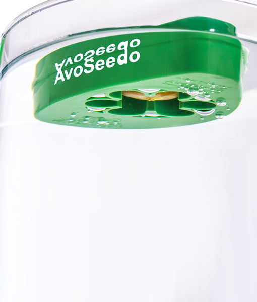- AvoSeedo 3-Pack --1