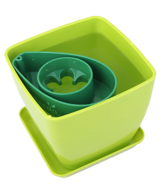 AvoSeedo Plant Pot Set-5