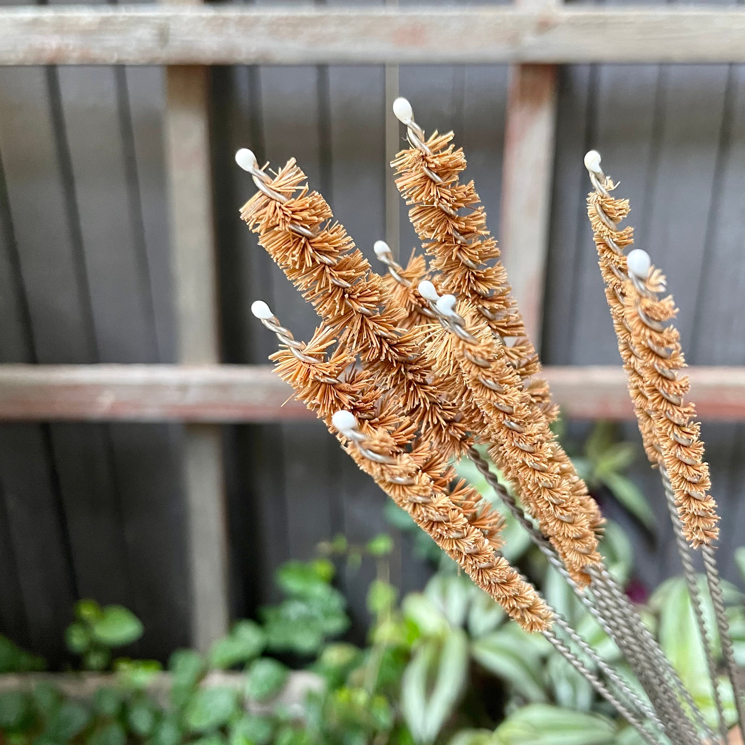 Coconut Fiber Straw Brushes-2