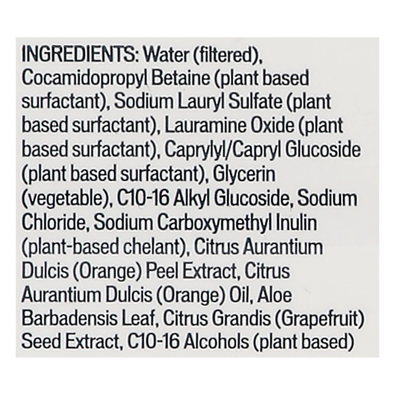 BK PRODUCE WASH,CONC ( 6 X 16 OZ   )-2