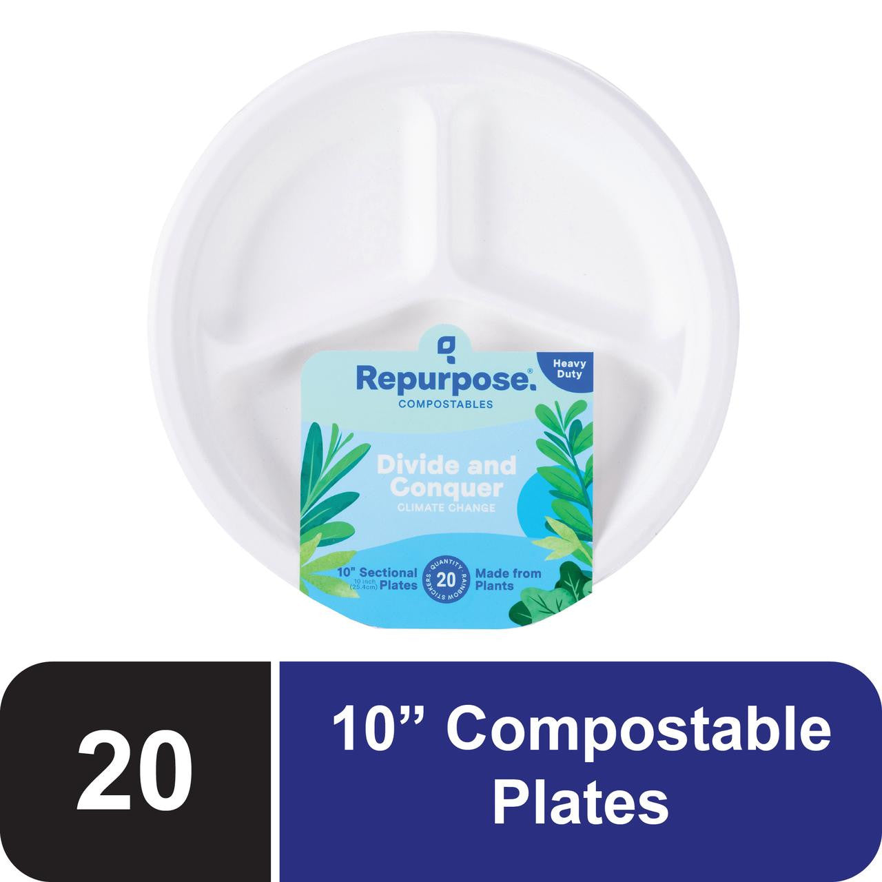 RPURP PLATES SECTL 10 IN ( 12 X 20 CT   )-0