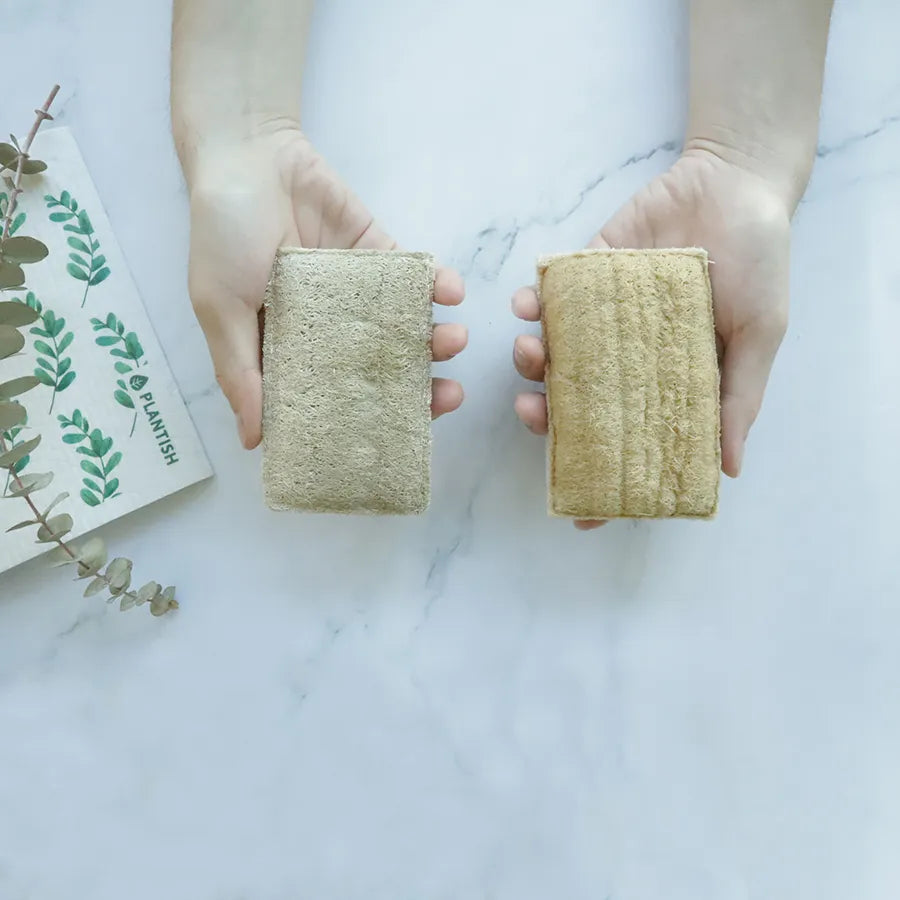 Eco Sponge-6
