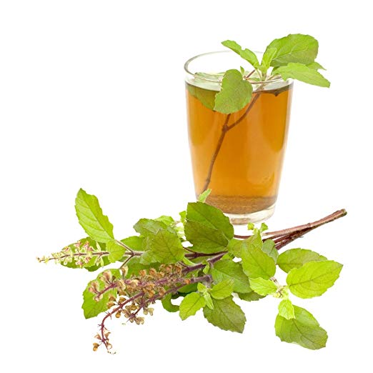 Gourmet Tulsi (Holy Basil) Cut & Sifted-3